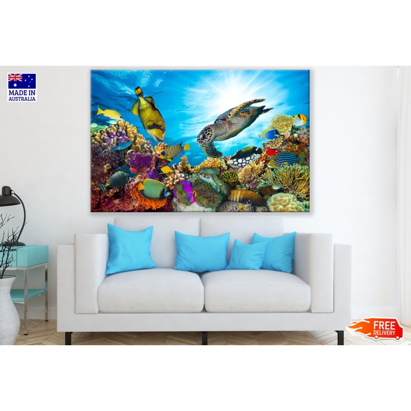 Under Sea Animals Photograph Print 100% Australian Made