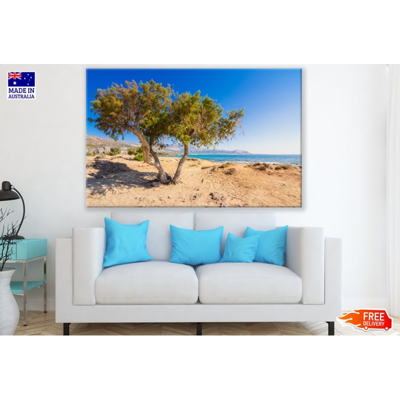 Tree on Cliff Near Sea Photograph Print 100% Australian Made