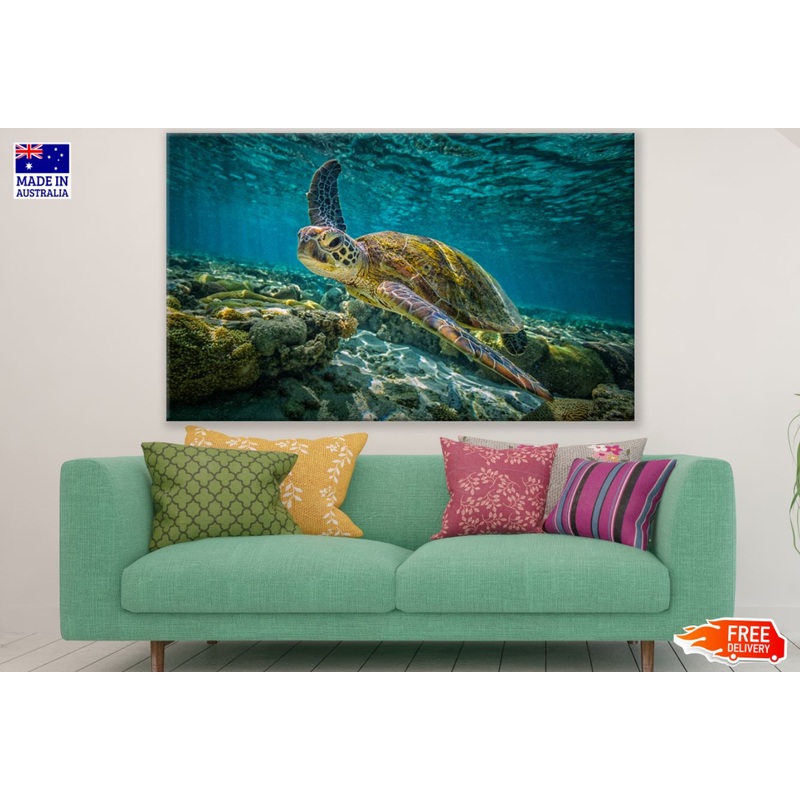 Tutle in Sea Photogrpah Print 100% Australian Made