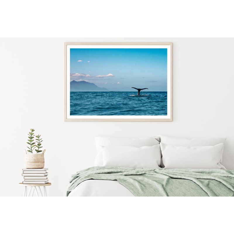 Whale in Sea Photograph Home Decor Premium Quality Poster Print Choose Your Sizes