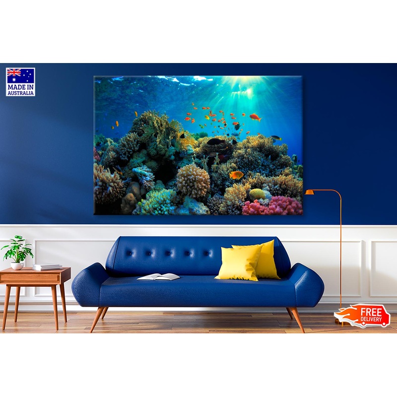 Beautiful Coral Reef and Mach Fish  Wall Art Decor 100% Australian Made
