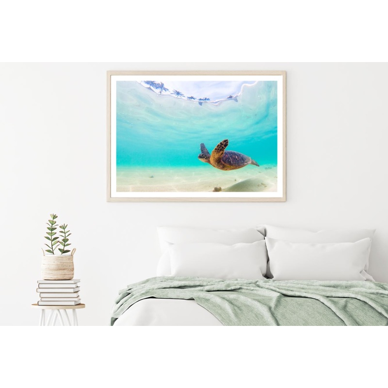 Turtle Underwater Photograph Home Decor Premium Quality Poster Print Choose Your Sizes