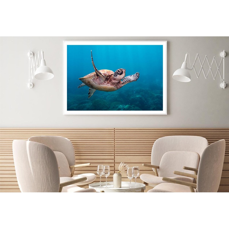 Turtle Swimming in The Ocean Home Decor Premium Quality Poster Print Choose Your Sizes