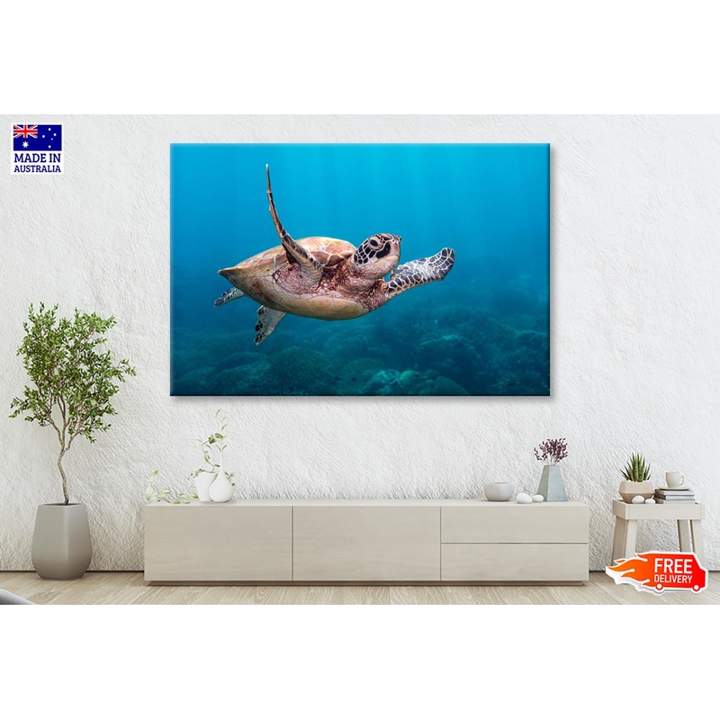 Turtle Swimming in The Ocean Wall Art Decor 100% Australian Made