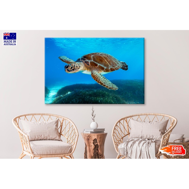 Turtle Swimming in The Ocean with A Lot of Water Wall Art Decor 100% Australian Made
