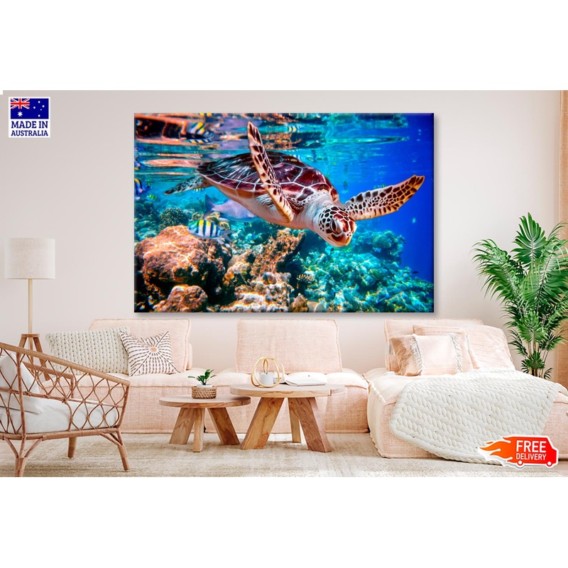 Turtle Swimming in The Ocean with Fish Wall Art Decor 100% Australian Made