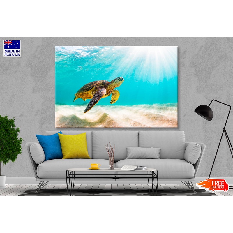 Turtle Swimming in The Ocean with Sun Shining Wall Art Decor 100% Australian Made