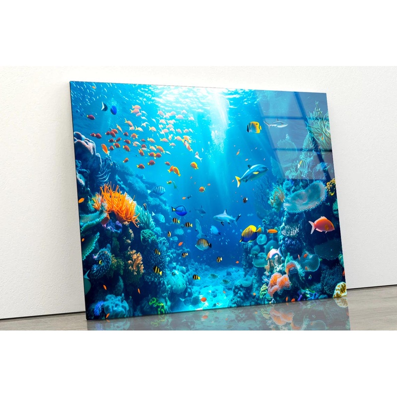 Underwater Scene Showcasing a Diverse Coral Reef  Acrylic Glass Print Tempered Glass Wall Art 100% Made in Australia Ready to Hang