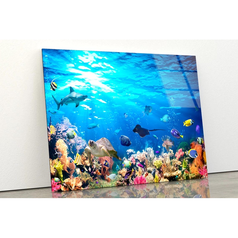 Underwater Scene with Coral Reef and Exotic Fishes Acrylic Glass Print Tempered Glass Wall Art 100% Made in Australia Ready to Hang