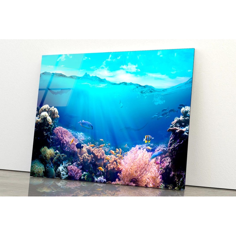 Underwater View of The Coral Reef Acrylic Glass Print Tempered Glass Wall Art 100% Made in Australia Ready to Hang