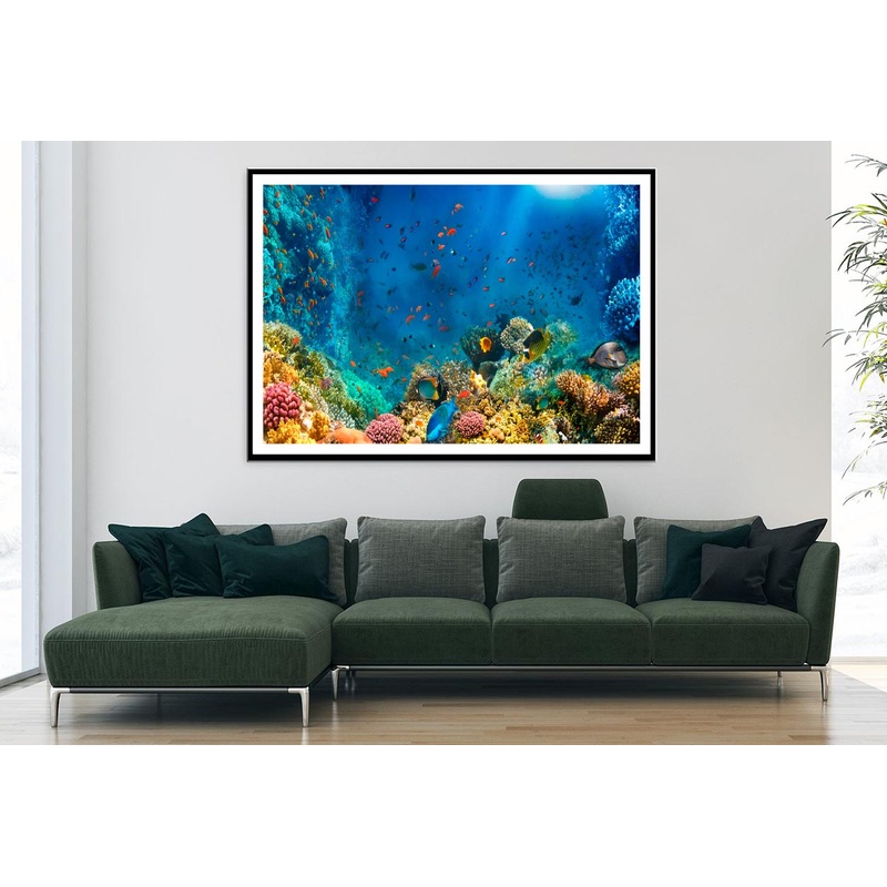 Underwater World Coral Fishes Of Red Sea Home Decor Premium Quality Poster Print Choose Your Sizes