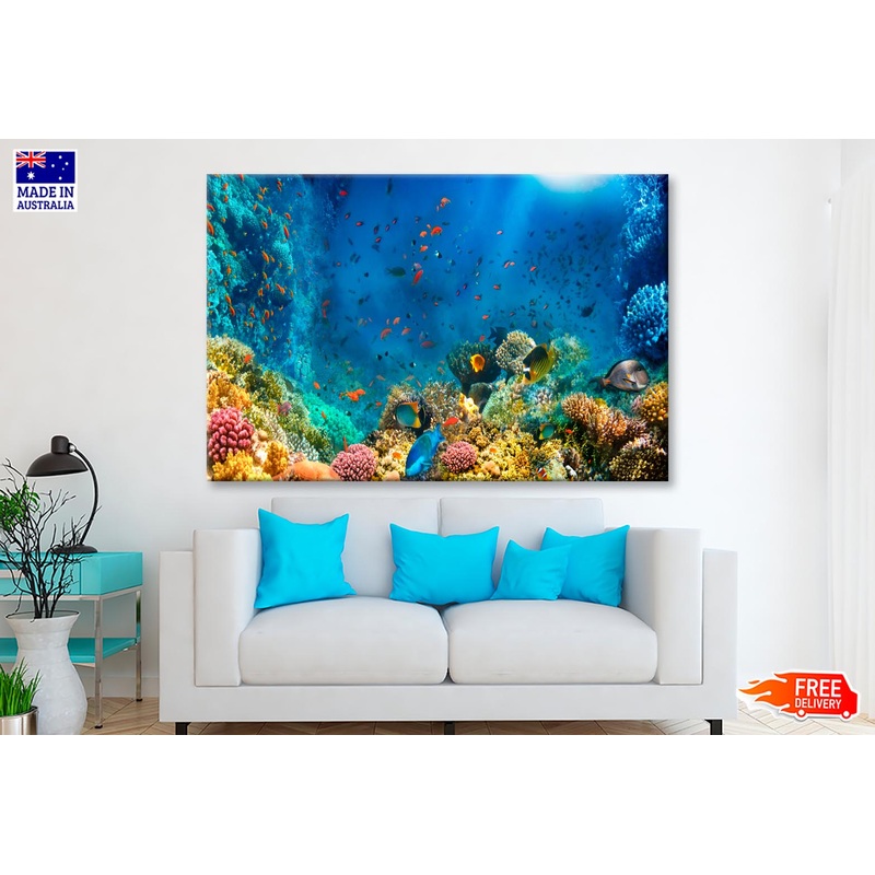Underwater World Coral Fishes Of Red Sea Wall Art Decor 100% Australian Made