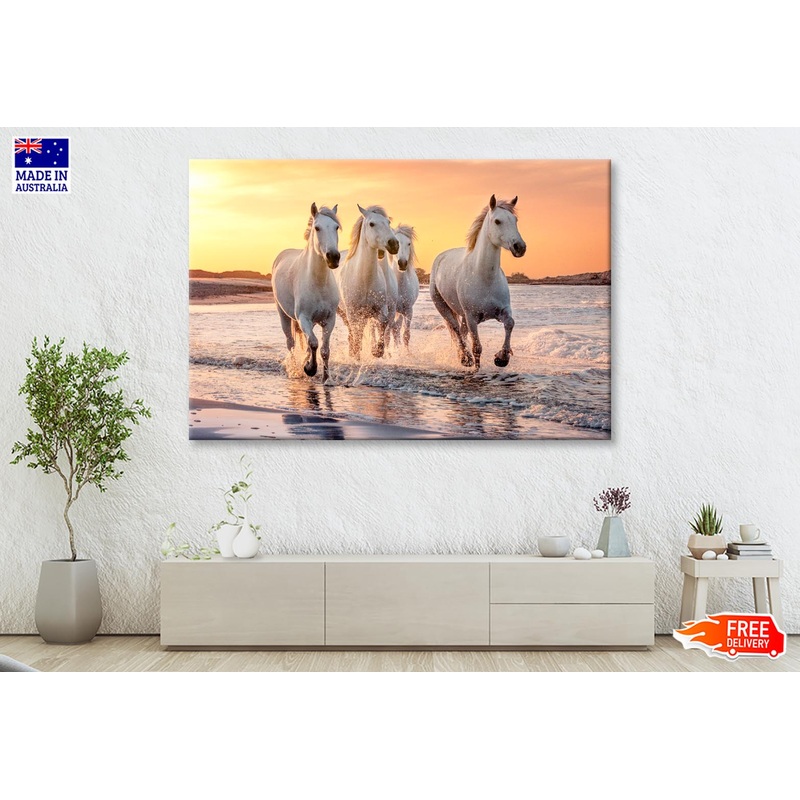 White Horses Running Through the Water at Sunset Wall Art Decor 100% Australian Made