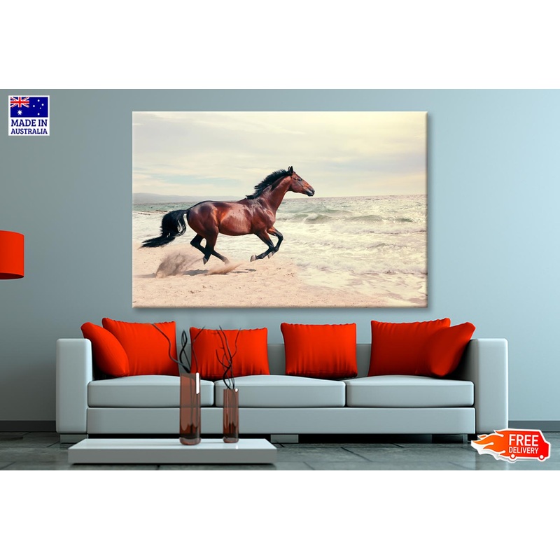 Wonderful Marine Landscape with Beautiful Bay Horse Wall Art Decor 100% Australian Made