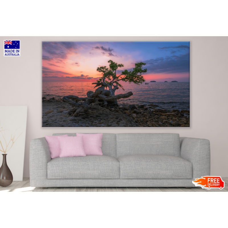 Tree & Sea Sunset Scenery Photograph Print 100% Australian Made
