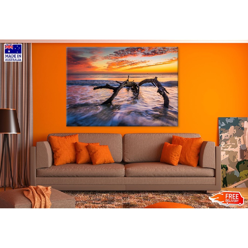 Sunrise at Driftwood Beach View Photograph Print 100% Australian Made