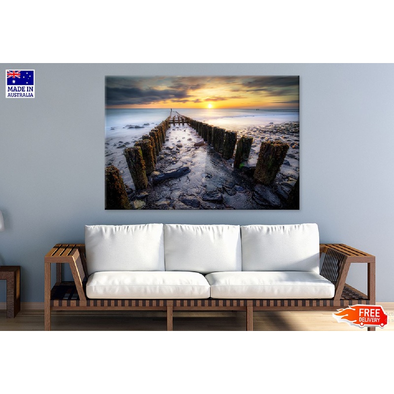 Woods with Moss near Seashore Photograph Print 100% Australian Made