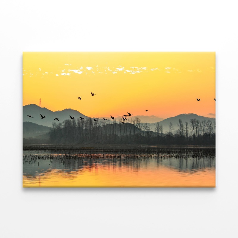 Winter Morning at Junam Reservoir, Korea Wall Art Decor 100% Australian Made Wall Art Decor 100% Australian Made