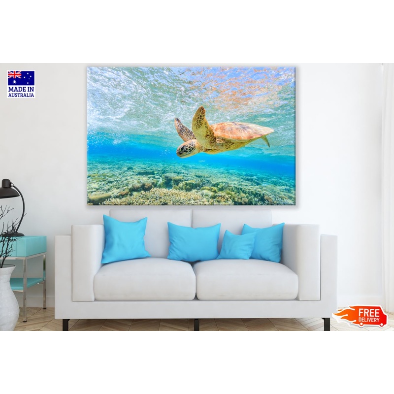 Turtle in Sea Photograph Print 100% Australian Made