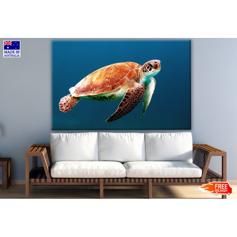 Turtle Swimming in Sea Photograph Print 100% Australian Made